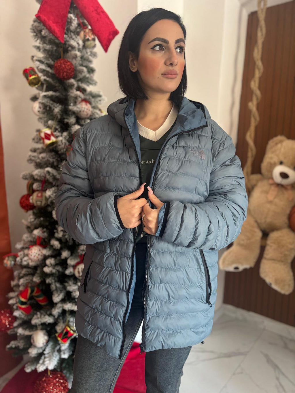 Piumino the North face