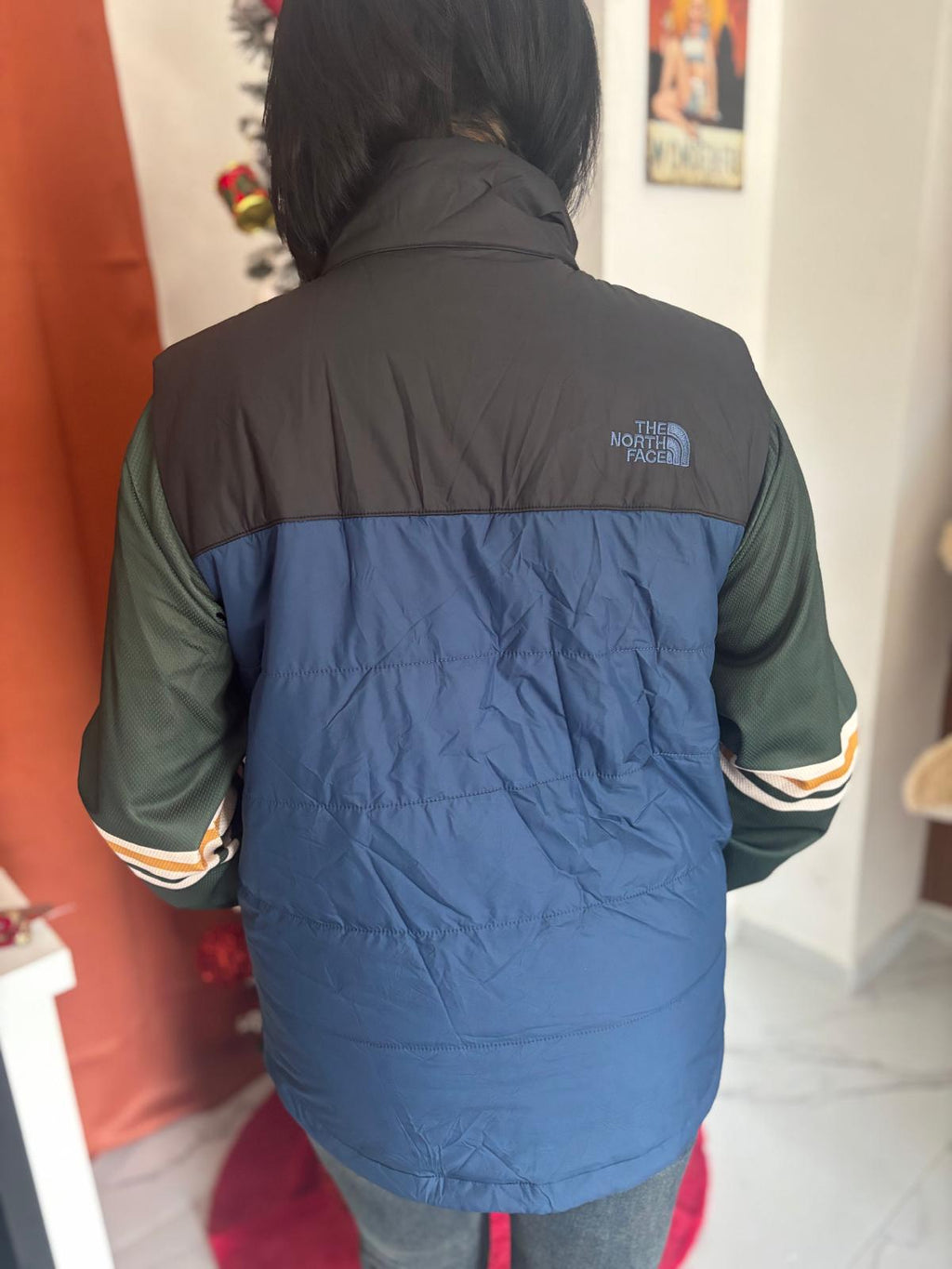 Bomber the North face