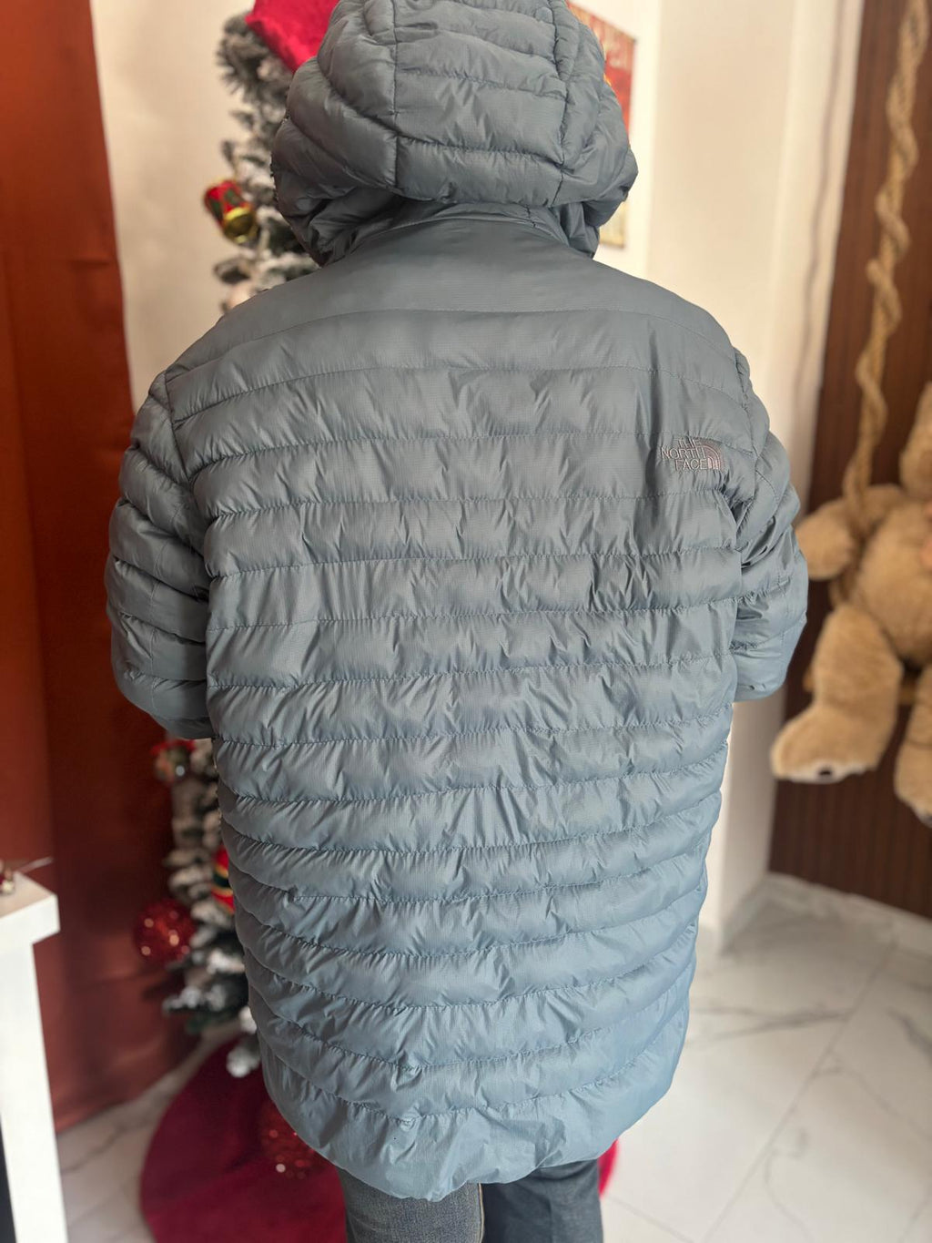 Piumino the North face